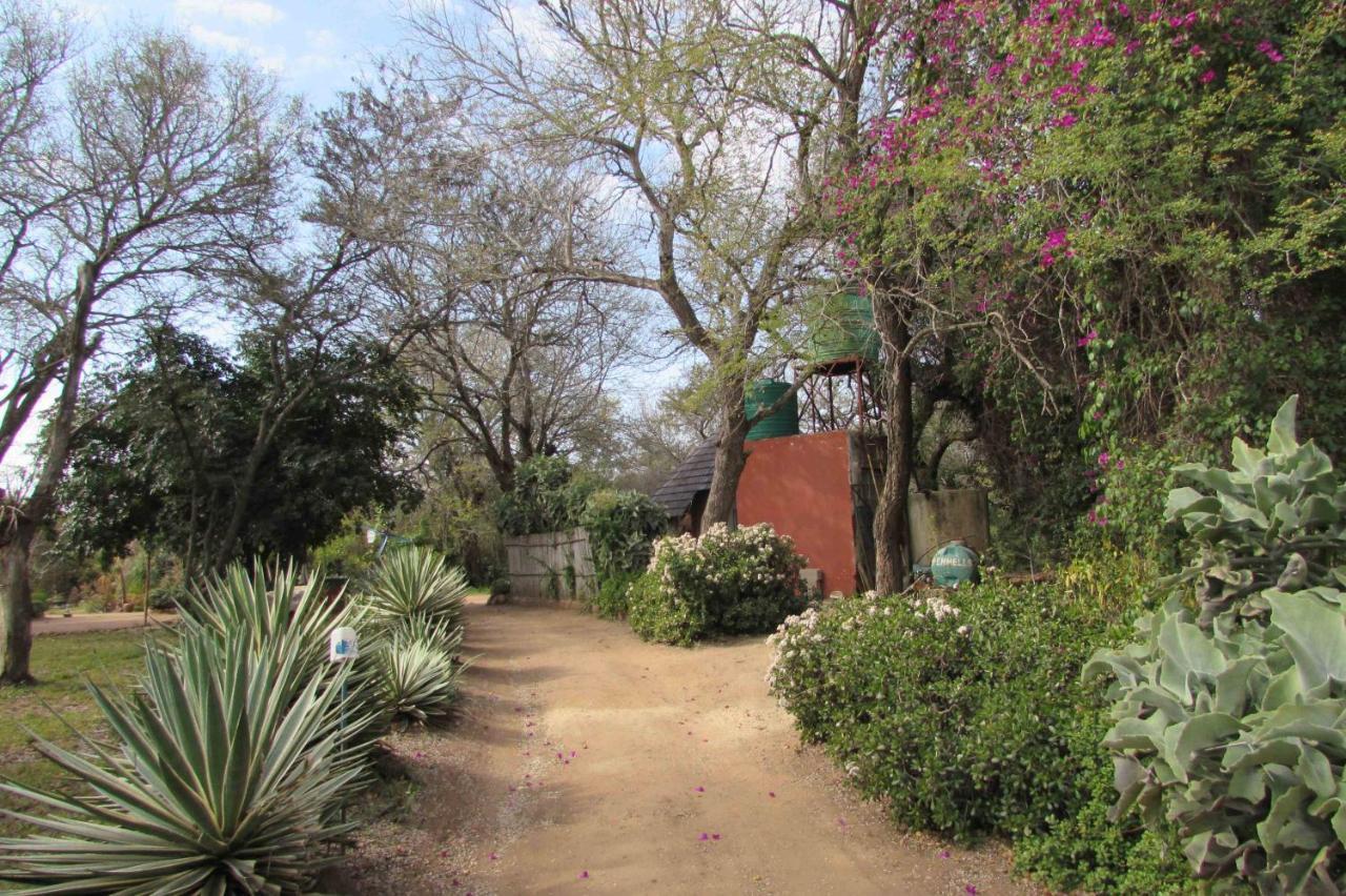 Amanzimlotzi Riverside Bush Camp Hoedspruit Exterior foto