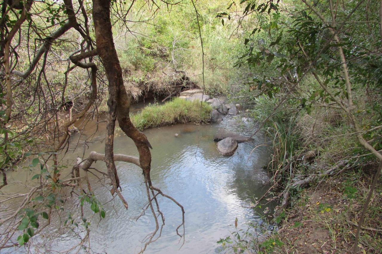 Amanzimlotzi Riverside Bush Camp Hoedspruit Exterior foto