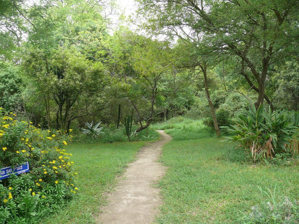 Amanzimlotzi Riverside Bush Camp Hoedspruit Quarto foto