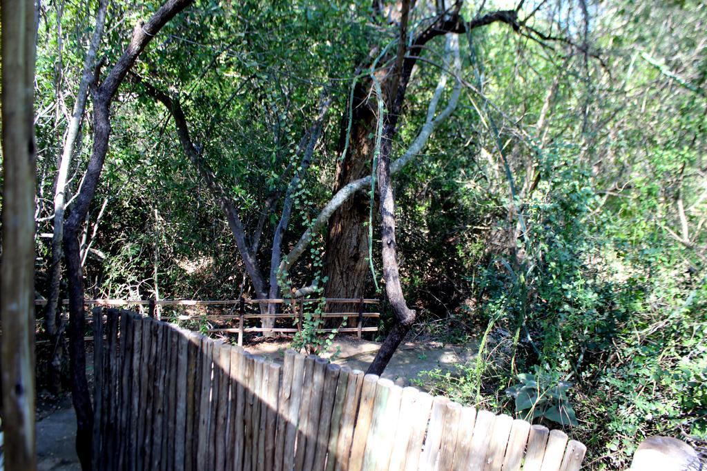 Amanzimlotzi Riverside Bush Camp Hoedspruit Exterior foto