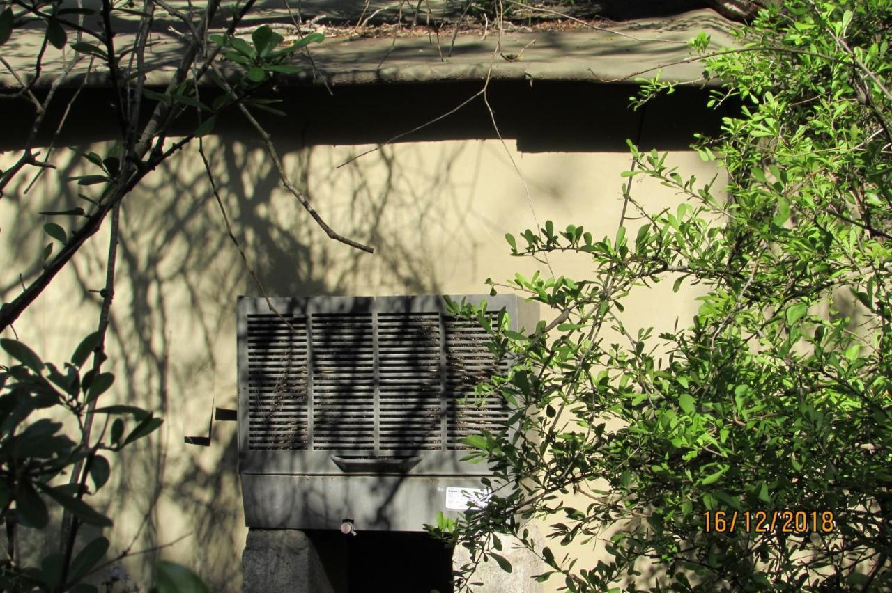 Amanzimlotzi Riverside Bush Camp Hoedspruit Exterior foto