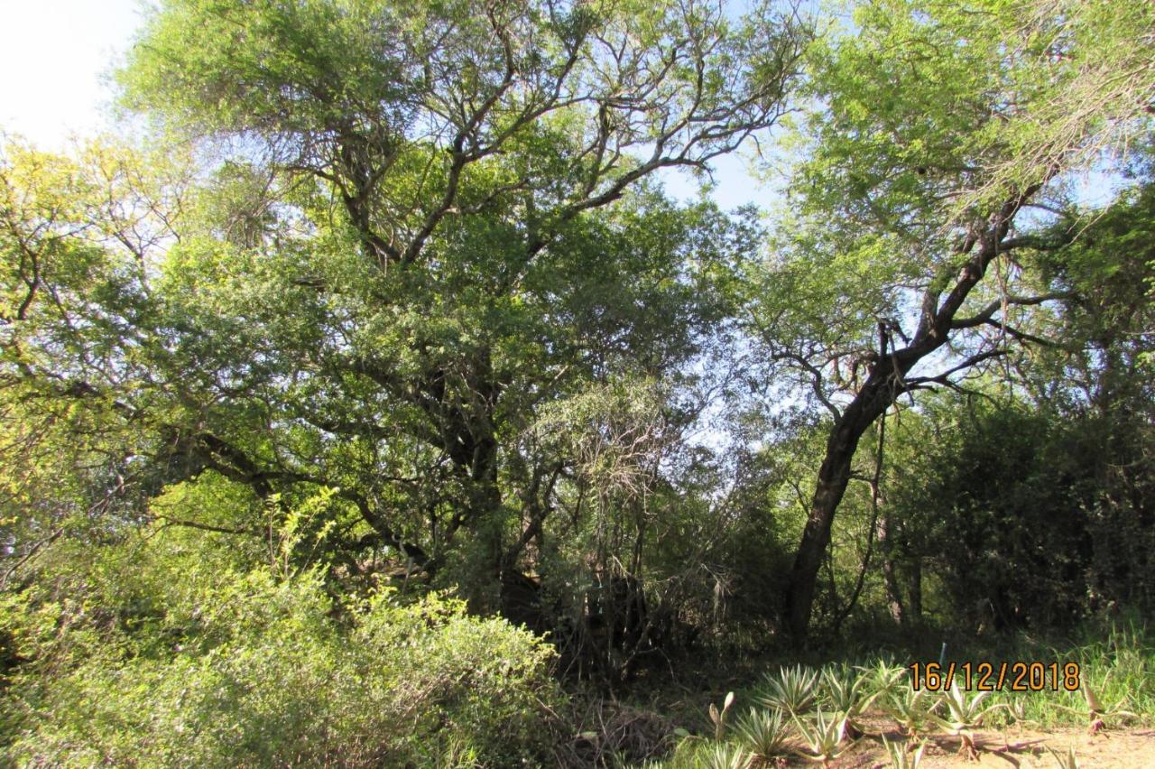 Amanzimlotzi Riverside Bush Camp Hoedspruit Exterior foto
